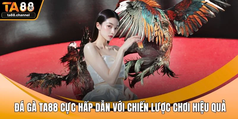 Đá Gà TA88 Cực Hấp Dẫn Với Chiến Lược Chơi Hiệu Quả 1 Đá gà TA88