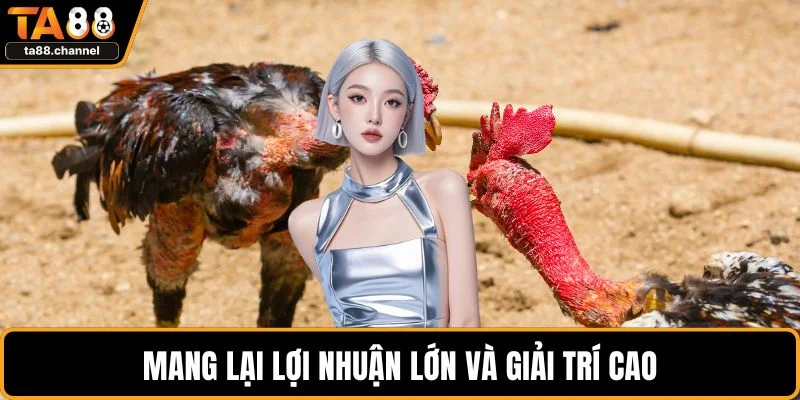 Đá Gà TA88 Cực Hấp Dẫn Với Chiến Lược Chơi Hiệu Quả 5 Mang lại lợi nhuận lớn và giải trí cao