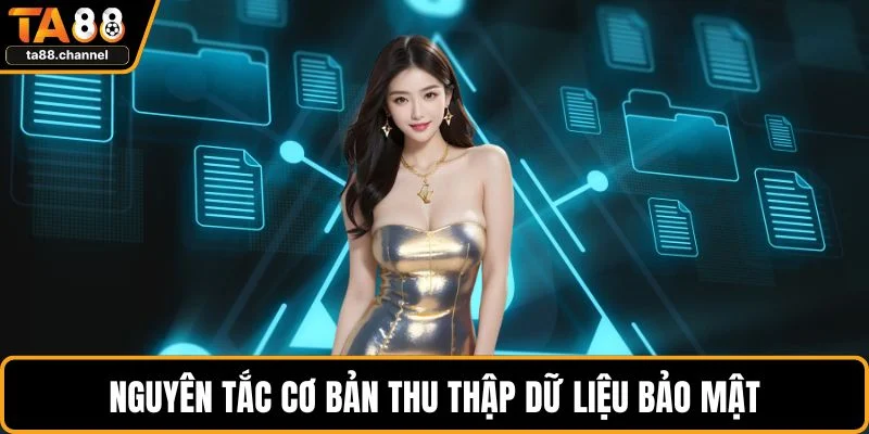 Chính Sách Bảo Mật Người Chơi Cần Hiểu Rõ Chi Tiết Nhất 3 Nguyên tắc cơ bản thu thập dữ liệu bảo mật