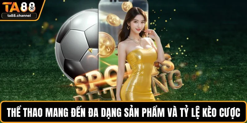 Trang chủ 13 Thể thao mang đến đa dạng sản phẩm và tỷ lệ kèo cược
