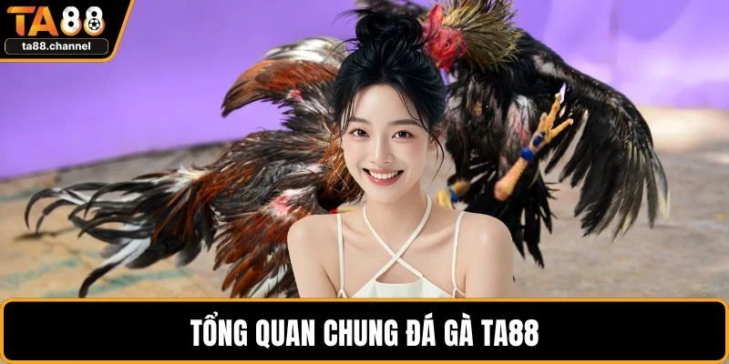 Đá Gà TA88 Cực Hấp Dẫn Với Chiến Lược Chơi Hiệu Quả 2 Tổng quan chung đá gà TA88